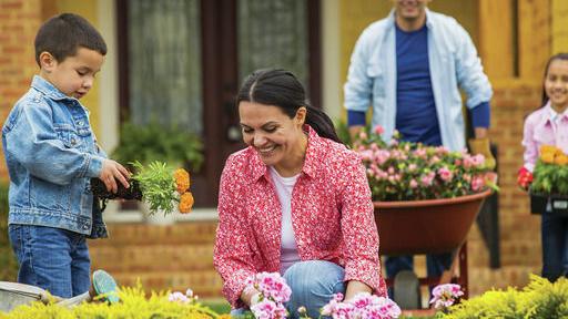 Agent reviews August garden chores